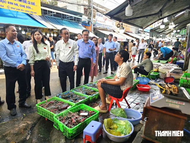Phó chủ tịch HĐND TP.HCM Huỳnh Thanh Nhân kiểm tra an toàn thực phẩm chợ Xóm Lưới- Ảnh 1.