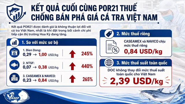 Mỹ tăng mạnh thuế với nhiều doanh nghiệp cá tra Việt Nam - Ảnh 1.