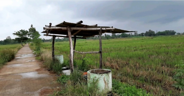Ông Mỹ hết mình vì môi trường xanh - Ảnh 4.