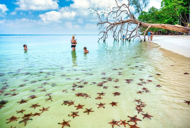 Bãi biển "có một không hai" ở Việt Nam vào top đẹp nhất thế giới Bãi biển ở Việt Nam vào top 12 đẹp nhất thế giới - Ảnh 1.