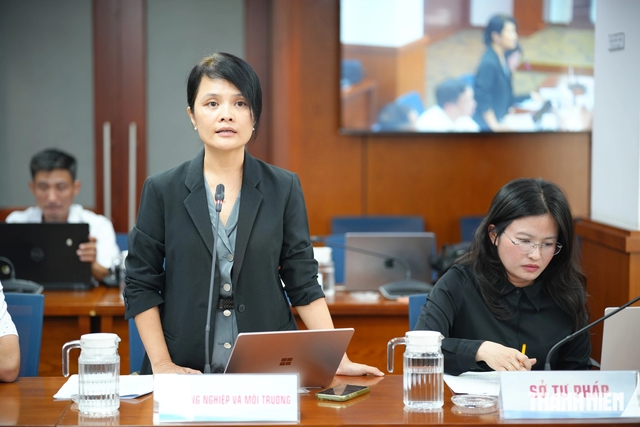 Tầm nh&igrave;n năm 2045: TP.HCM m&ocirc;i trường trong l&agrave;nh, ph&aacute;t thải r&ograve;ng bằng 0- Ảnh 1.
