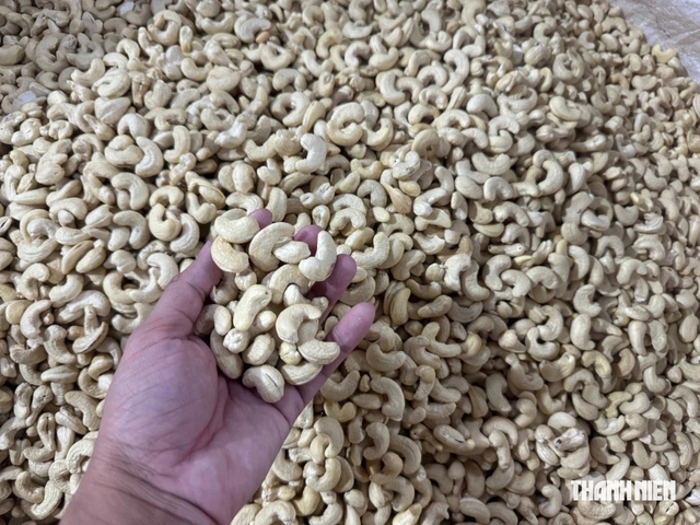 Xuất khẩu sang New Zealand tăng trưởng mạnh- Ảnh 2.