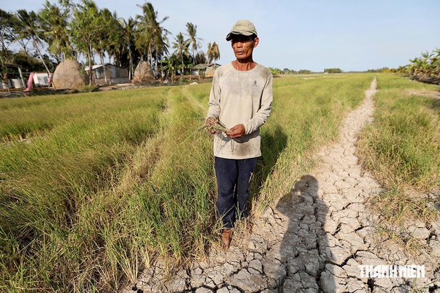 El Nino đang t&aacute;c động đến Việt Nam thế n&agrave;o?- Ảnh 2.