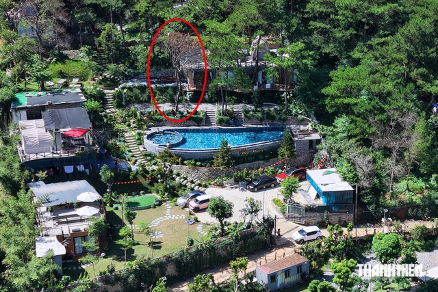 Villa, homestay mọc như nấm trong rừng ph&ograve;ng hộ: Sở NN-MT H&agrave; Nội khẳng định phản &aacute;nh 'c&oacute; cơ sở'- Ảnh 1.