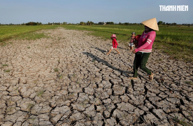 Tin tức đặc biệt tr&ecirc;n b&aacute;o in Thanh Ni&ecirc;n 17.8.2026  - Ảnh 1.