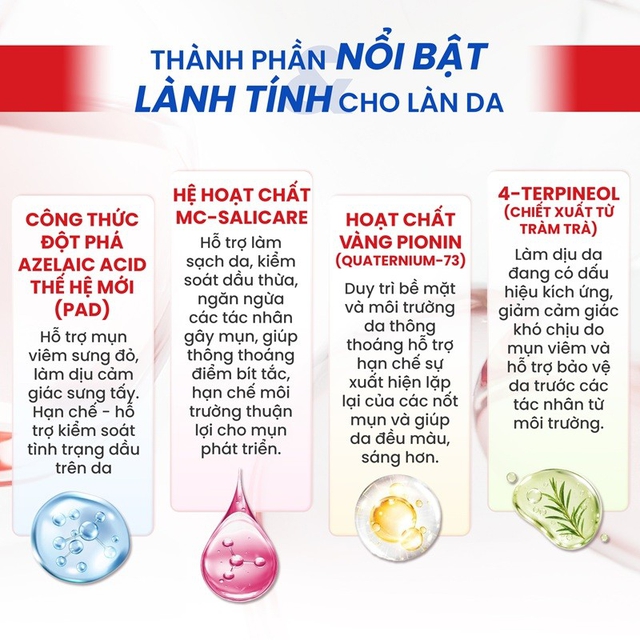 Pionin (quaternium -73) l&agrave; g&igrave;? T&aacute;c dụng với da mụn v&agrave; c&aacute;ch sử dụng chuẩn y khoa- Ảnh 2.