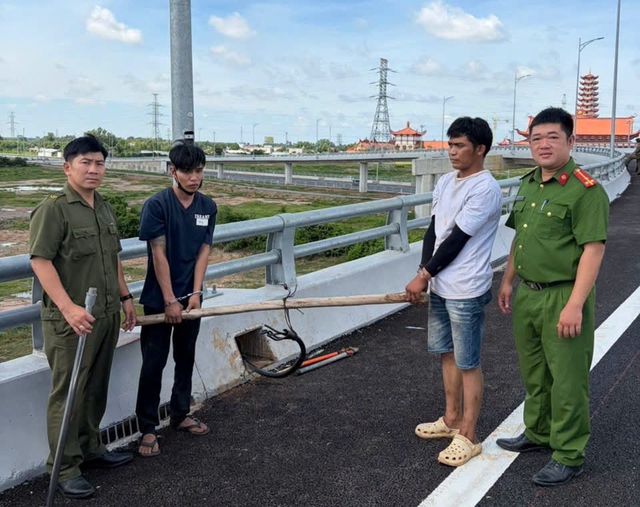 Bắt được 2 nghi can trộm dây điện chiếu sáng cao tốc Biên Hòa - Vũng Tàu - Ảnh 1.