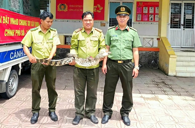  Đi giăng lưới bất ngờ bắt dính cá sấu- Ảnh 1.