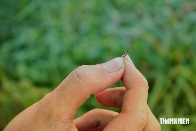 Lịch âm hôm nay 20.8: Ngày Bính Dần, tháng Bính Thân, năm Bính Ngọ có đặc biệt? - Ảnh 2.