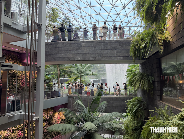 Vì sao khách Việt đang ít đến Singapore? - Ảnh 1.