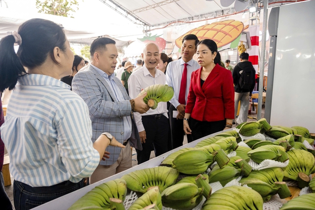 Lễ hội hương sắc trái cây Menas Mall Saigon Airport đồng hành vì cộng đồng- Ảnh 2.