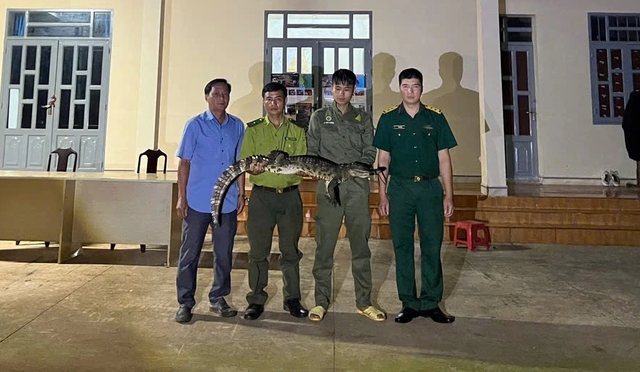 Đồng Nai: Đ&atilde; bắt c&aacute; sấu hơn 10 kg dưới suối, sau hơn 20 ng&agrave;y truy t&igrave;m - Ảnh 2.