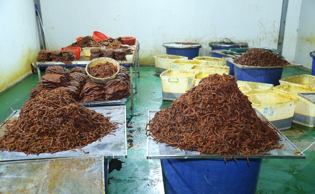 Triệt phá đường dây 'phù phép' thịt trâu thành khô bò - Ảnh 1.