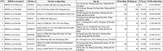 100 doanh nghiệp ở TP.HCM còn hoạt động nợ BHXH hơn 600 tỉ đồng- Ảnh 1.