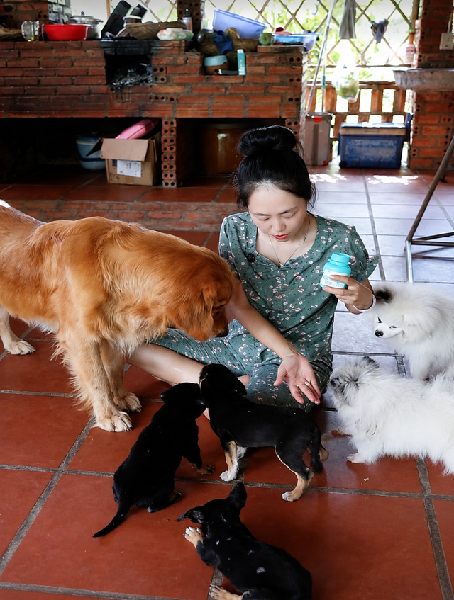 C&ocirc; g&aacute;i miền T&acirc;y hơn 10 năm giải cứu ch&oacute; hoang - Ảnh 3.