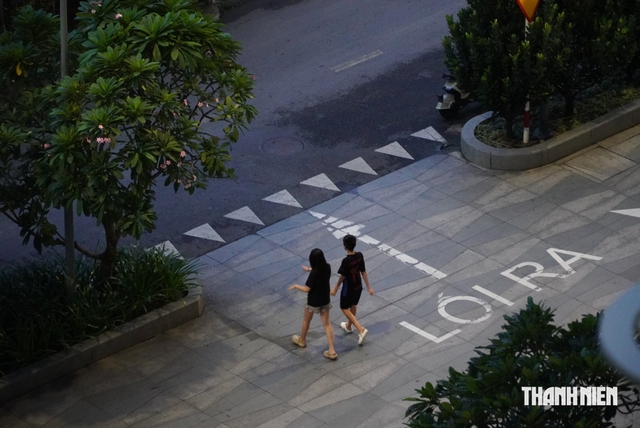 V&igrave; sao c&oacute; xu hướng người trẻ 'thu&ecirc;'... một người b&ecirc;n cạnh? - Ảnh 3.