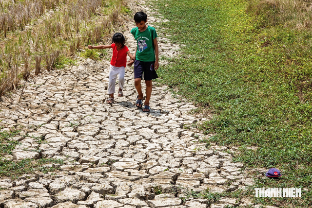 'Siêu El Nino' khiến 107.000 hộ dân ĐBSCL thiếu nước sinh hoạt - Ảnh 1.