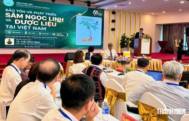 Hơn 200 chuyên gia chung sức gỡ ‘nút thắt’ đưa sâm Ngọc Linh ra thế giới - Ảnh 1.