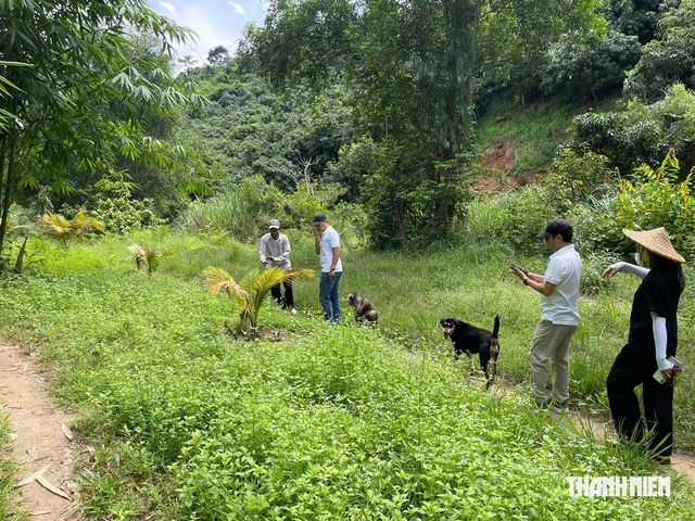 Giữ tình làng nghĩa xóm để tháo gỡ tranh chấp tại Suối Dầu- Ảnh 2.