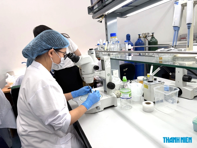 1.500 học bổng cho nh&agrave; khoa học trẻ, sinh vi&ecirc;n xuất sắc học trường top thế giới- Ảnh 1.