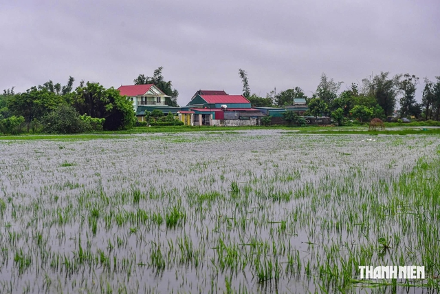 Đi thăm đồng, 2 người bị sét đánh thương vong - Ảnh 1.
