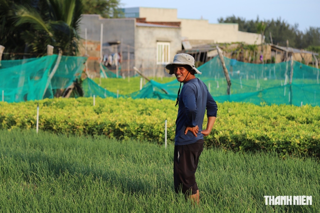  Không chỉ là những tổ máy- Ảnh 2.