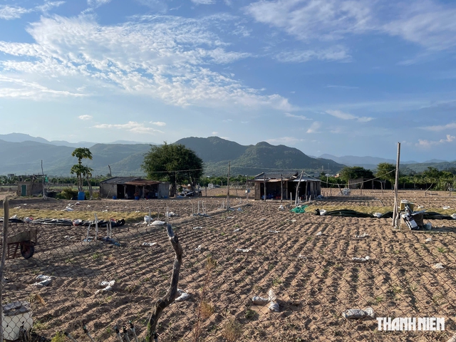  Không chỉ là những tổ máy- Ảnh 3.
