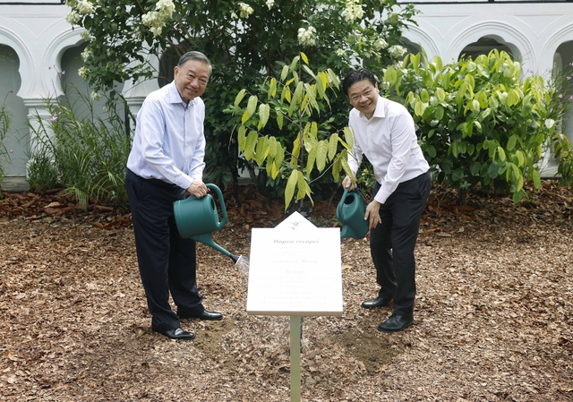 Sự phối hợp Việt Nam - Singapore mang ý nghĩa then chốt trong khu vực- Ảnh 1.