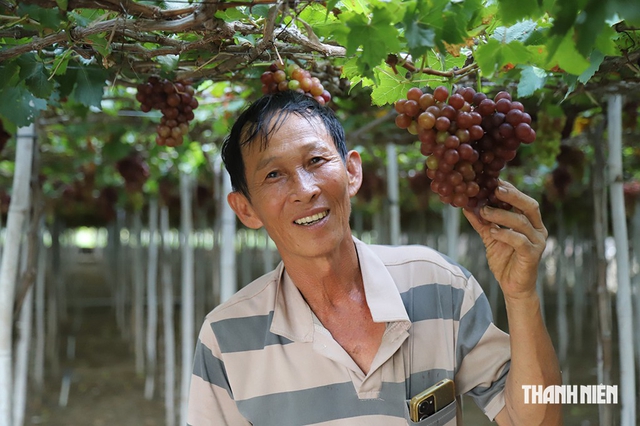 Điện hạt nhân Ninh Thuận trở lại đường đua năng lượng: Đồng thuận mở lối tương lai- Ảnh 4.