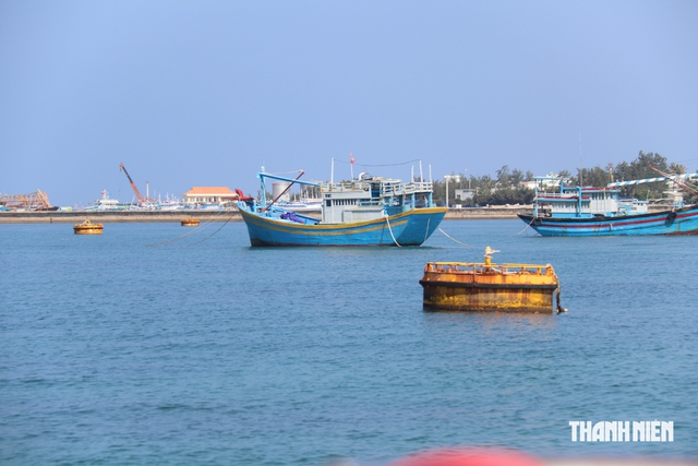 Lâm Đồng siết chống IUU, vẫn còn tàu cá vi phạm vùng biển nước ngoài - Ảnh 1.