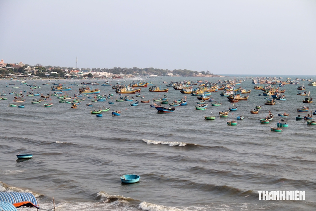 Lâm Đồng siết chống IUU, vẫn còn tàu cá vi phạm vùng biển nước ngoài - Ảnh 2.