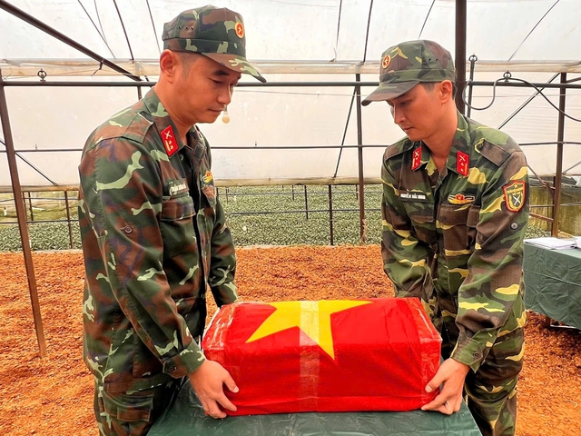 Tìm thấy thêm hài cốt liệt sĩ trong nhà kính ở phường Xuân Trường - Đà Lạt - Ảnh 1.