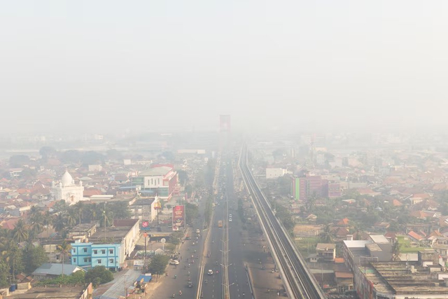 Indonesia bắt 72 người g&acirc;y ch&aacute;y rừng nghi&ecirc;m trọng - Ảnh 1.