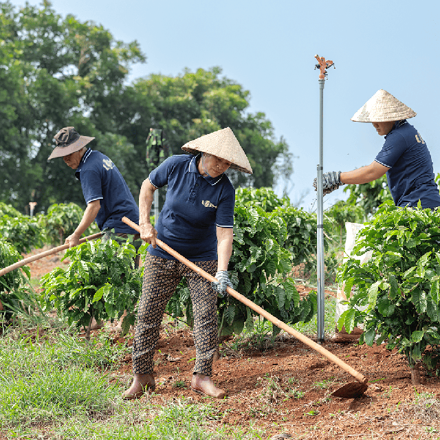 Cà phê thương hiệu Việt đón đầu xu hướng sản xuất mới - Ảnh 6.