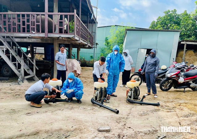 Sốt xuất huyết tại Gia Lai tăng mạnh, gần 5.000 ca mắc từ đầu năm - Ảnh 3.