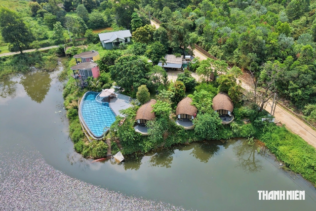 Động thái 'lạ' từ hàng loạt villa, homestay trong rừng phòng hộ - Ảnh 2.