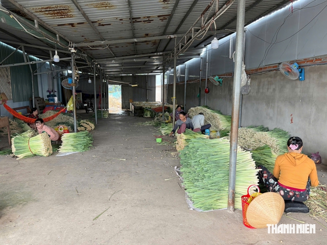G&otilde; cửa 'x&oacute;m b&oacute;c sả' ở c&ugrave; lao T&acirc;n Ph&uacute; Đ&ocirc;ng- Ảnh 1.