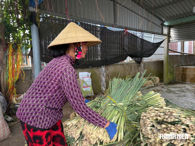 G&otilde; cửa 'x&oacute;m b&oacute;c sả' ở c&ugrave; lao T&acirc;n Ph&uacute; Đ&ocirc;ng- Ảnh 4.