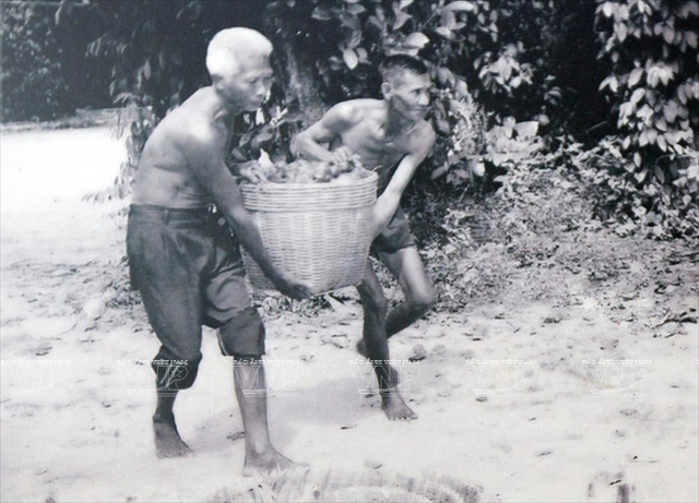 Người mẹ nghèo đưa con sinh đôi chở vũ khí vào Sài Gòn Tết Mậu Thân 1968- Ảnh 4.