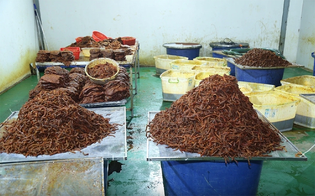 Tin tức đặc biệt trên báo in Thanh Niên 26.8.2026 - Ảnh 1.