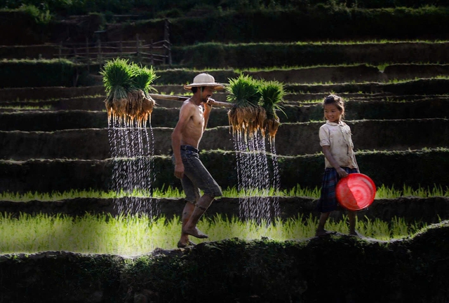 Hạt cốm, ly ca cao mật dừa kể chuyện Việt Nam- Ảnh 3.