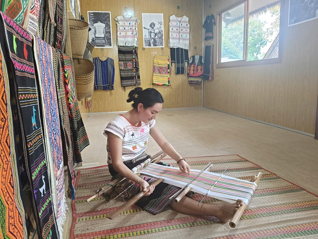 Đem chuyện Tà Lài ra diễn đàn thế giới- Ảnh 5.