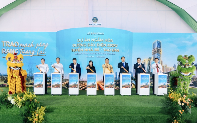 Tuyến cáp ngầm hơn 1.000 tỉ đồng về đích sớm- Ảnh 1.