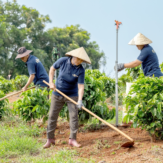 Cà phê thương hiệu Việt đón đầu xu hướng sản xuất mới - Ảnh 5.