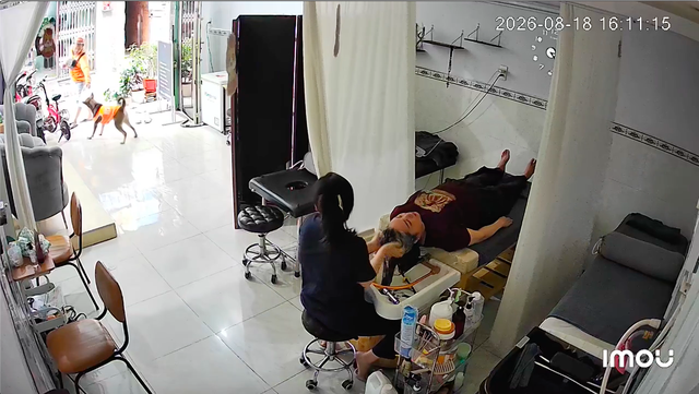 Chú chó tên Tèo nhận hàng giúp chủ nhà: Công việc quen thuộc, shipper ngạc nhiên - Ảnh 1.