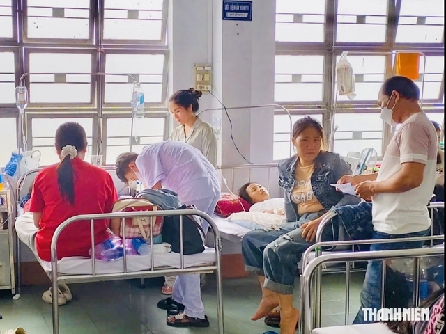 150 người nghi ngộ độc thực phẩm sau khi ăn bánh mì ở An Khê- Ảnh 1.