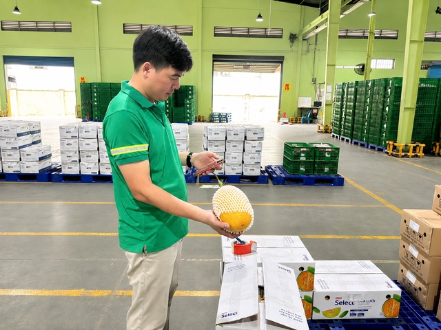 Saigon Co.op kiểm soát hàng hóa từ gốc - Đẩy mạnh truy xuất chuỗi cung ứng - Ảnh 3.
