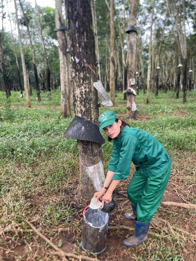 Ba bông hoa trên những vườn cây cao su Kon Tum - Ảnh 1.