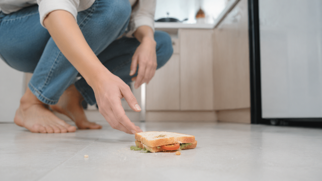 Thức ăn rơi xuống s&agrave;n, nhặt l&ecirc;n trong 5 gi&acirc;y c&oacute; ăn được? - Ảnh 1.