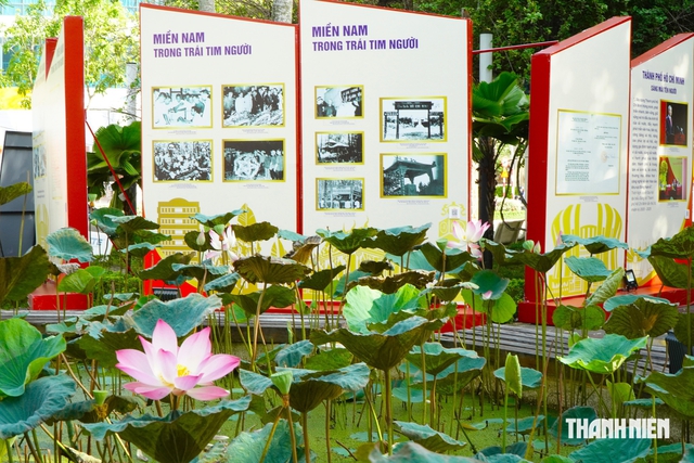 Ba bảo tàng cùng góp tư liệu về văn hóa, lịch sử trưng bày tại Cần Thơ - Ảnh 3.
